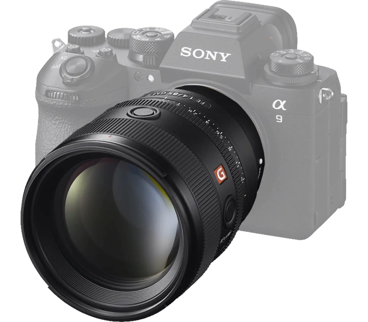 Objectif principal G plein format à grande ouverture FE 85 mm F1.4 GM II Modèle : SEL85F14GM2 – Image 9