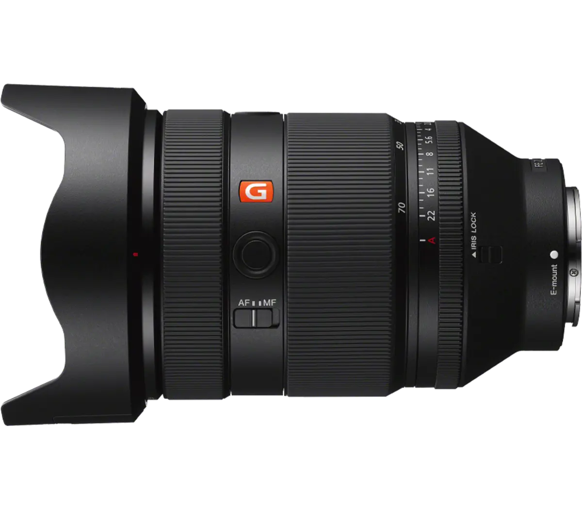 FE 28-70 mm F2 GM - Un zoom standard F2 qui rivalise avec la qualité d'un objectif de premier ordre Modèle : SEL2870GM – Image 6